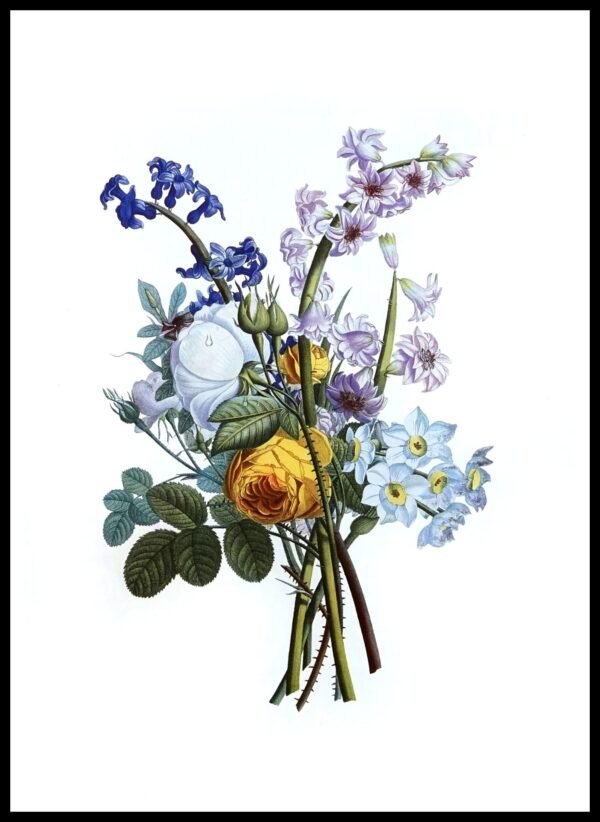 ALP F13033 Prevost Bougnets (Antique Prints)